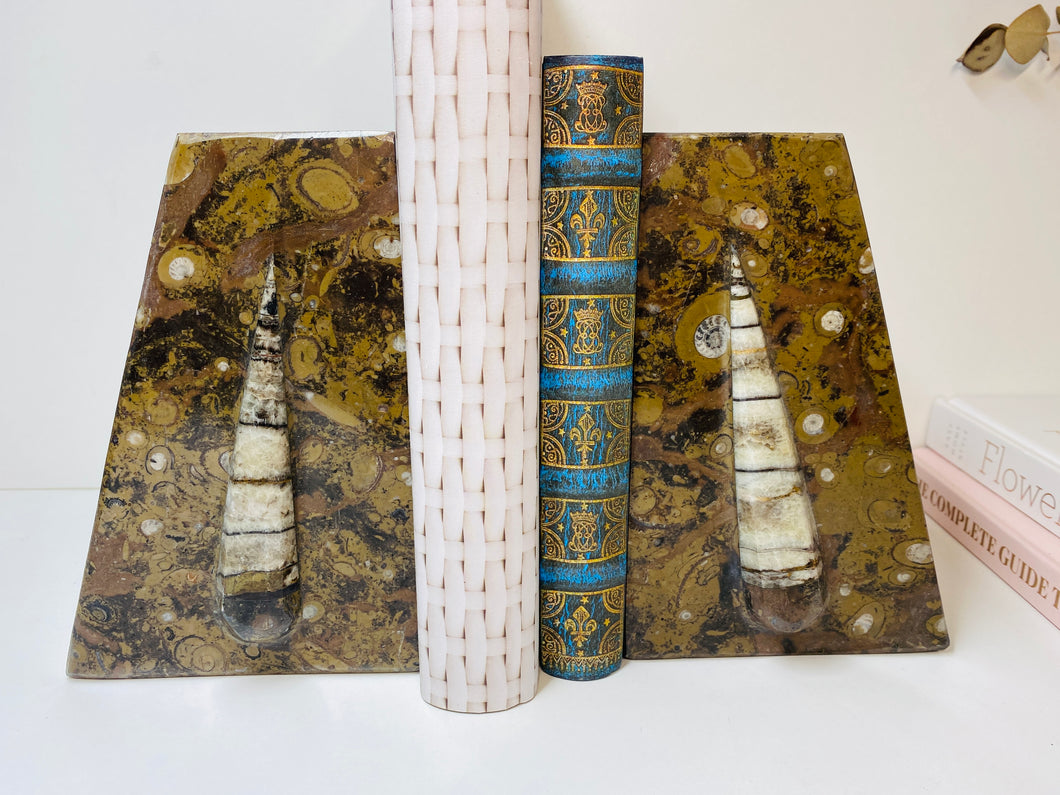 Fossil Ammonite Orthoceras book ends