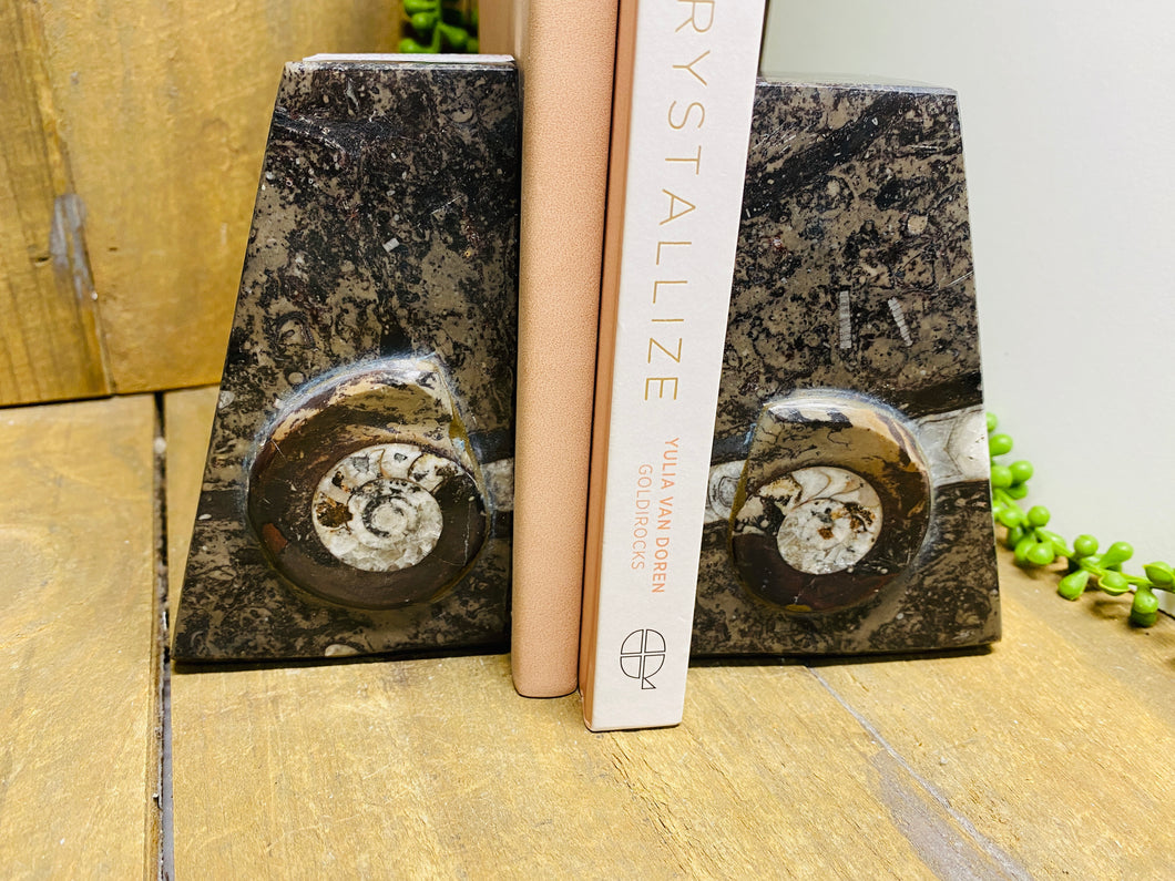 Fossil Ammonite book ends