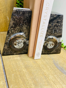 Fossil Ammonite book ends