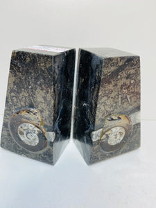 Fossil Ammonite book ends