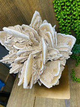 Load image into Gallery viewer, Large Desert Rose Gypsum on stand