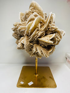 Large Desert Rose Gypsum on stand