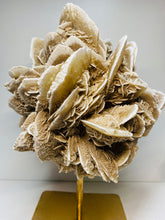 Load image into Gallery viewer, Large Desert Rose Gypsum on stand