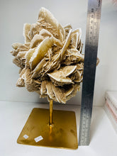 Load image into Gallery viewer, Large Desert Rose Gypsum on stand