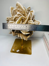 Load image into Gallery viewer, Large Desert Rose Gypsum on stand