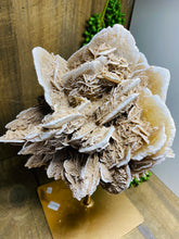 Load image into Gallery viewer, Large Desert Rose Gypsum on stand