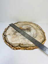 Load image into Gallery viewer, Petrified wood slab