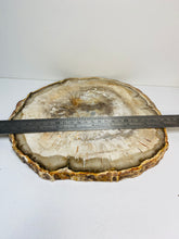 Load image into Gallery viewer, Petrified wood slab
