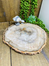 Load image into Gallery viewer, Petrified wood slab