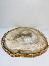 Load image into Gallery viewer, Petrified wood slab