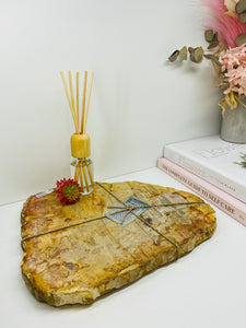 Petrified wood slab