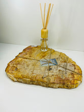 Load image into Gallery viewer, Petrified wood slab