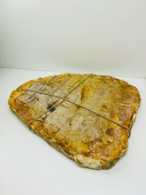 Load image into Gallery viewer, Petrified wood slab