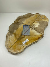 Load image into Gallery viewer, Petrified wood slab