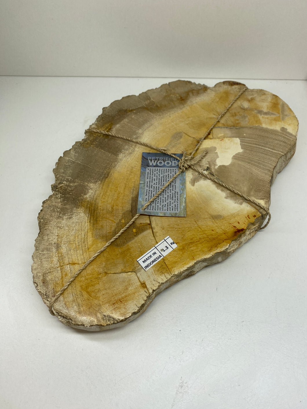 Petrified wood slab