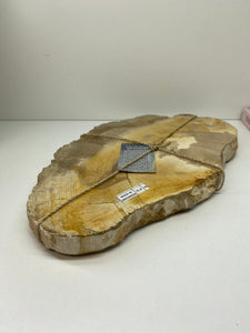 Petrified wood slab