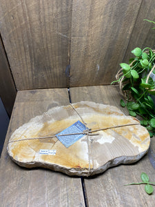 Petrified wood slab