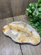 Load image into Gallery viewer, Petrified wood slab