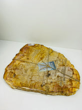 Load image into Gallery viewer, Petrified wood slab