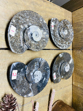 Load image into Gallery viewer, Polished Fossil Ammonite Orthoceras Bowl - home decor
