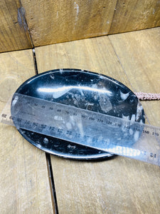 Polished Fossil Ammonite Orthoceras Bowl - home decor