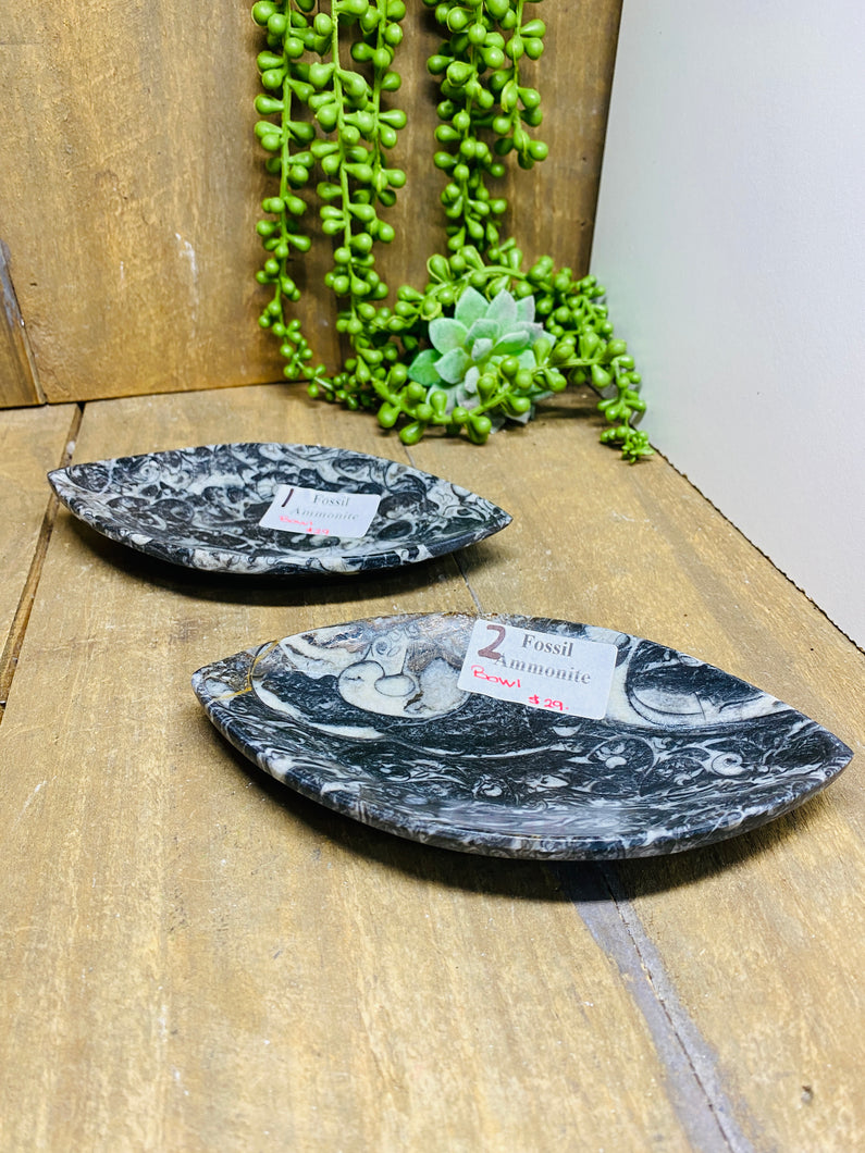 Polished Fossil Ammonite Orthoceras boat shaped bowls