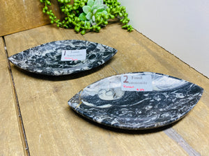 Polished Fossil Ammonite Orthoceras boat shaped bowls