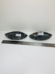 Polished Fossil Ammonite Orthoceras boat shaped bowls