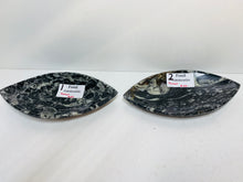 Load image into Gallery viewer, Polished Fossil Ammonite Orthoceras boat shaped bowls