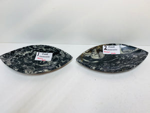 Polished Fossil Ammonite Orthoceras boat shaped bowls