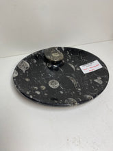 Load image into Gallery viewer, Polished Fossil Ammonite Orthoceras bowls