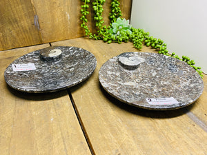 Polished Fossil Ammonite Orthoceras dish