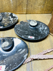 Polished Fossil Ammonite Orthoceras oval Bowl - home decor