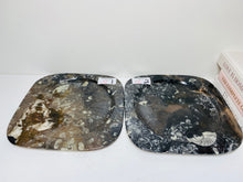 Load image into Gallery viewer, Polished Fossil Ammonite Orthoceras plates