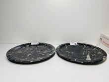 Load image into Gallery viewer, Polished Fossil Ammonite Orthoceras round plates