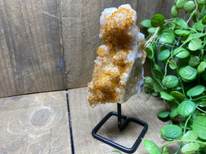 Small Citrine crystal on black stand