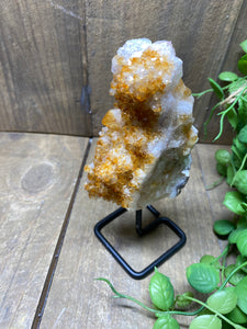 Small Citrine crystal on black stand