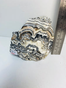 Zebra Calcite display piece