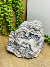 Load image into Gallery viewer, Zebra Calcite display piece