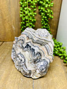 Zebra Calcite display piece