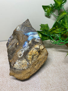 Australian Boulder Opal - home decor display piece