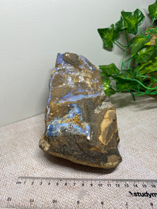 Australian Boulder Opal - home decor display piece