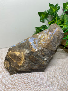 Australian Boulder Opal - home decor display piece