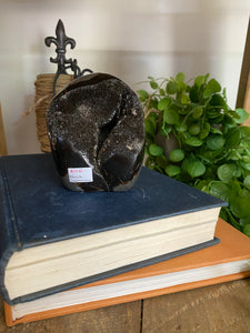 Black Septarian with geode - office decor or unique home display piece