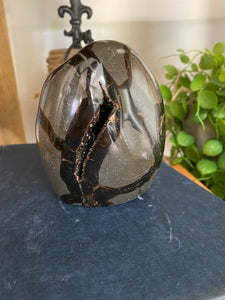 Black Septarian with geode - office decor or unique home display piece