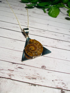 Fossil Ammonite pendant set in sterling silver