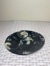 Load image into Gallery viewer, Fossil Orthoceras bowl - home decor