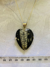Load image into Gallery viewer, Fossil Orthoceras pendant