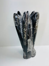 Load image into Gallery viewer, Freestanding Fossil Orthoceras statute