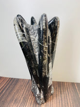 Load image into Gallery viewer, Freestanding Fossil Orthoceras statute